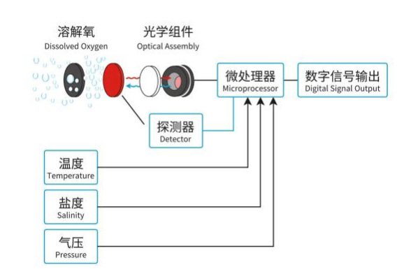 在线荧光法溶氧传感器